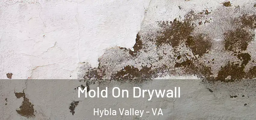  Mold On Drywall Hybla Valley - VA