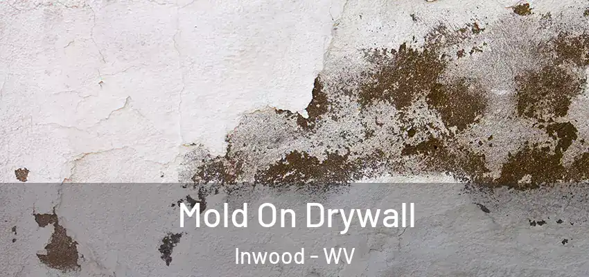  Mold On Drywall Inwood - WV