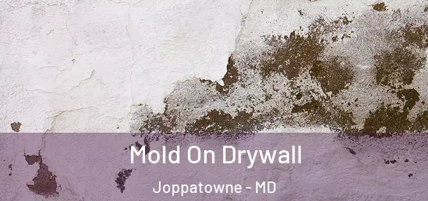 Mold On Drywall Joppatowne - MD