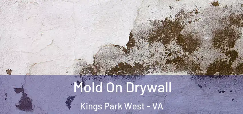 Mold On Drywall Kings Park West - VA