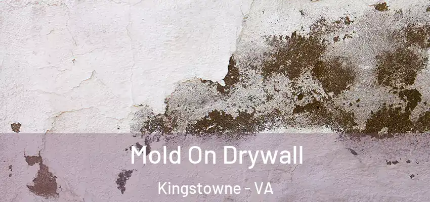 Mold On Drywall Kingstowne - VA