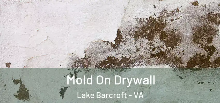  Mold On Drywall Lake Barcroft - VA