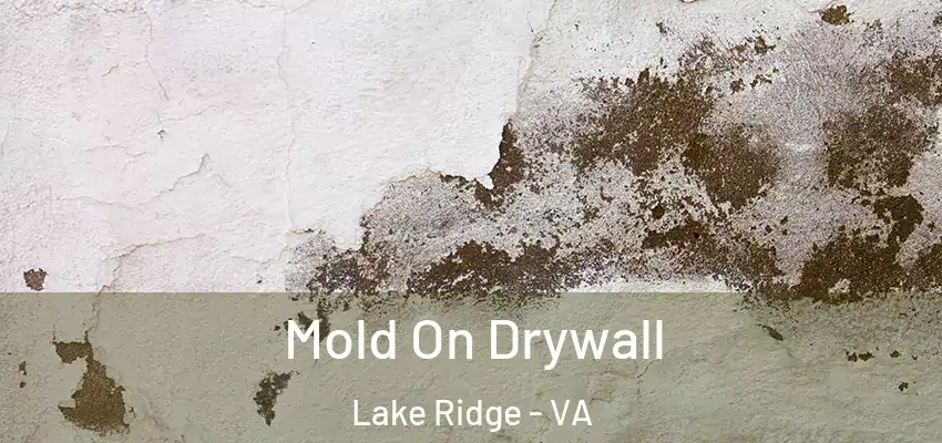 Mold On Drywall Lake Ridge - VA