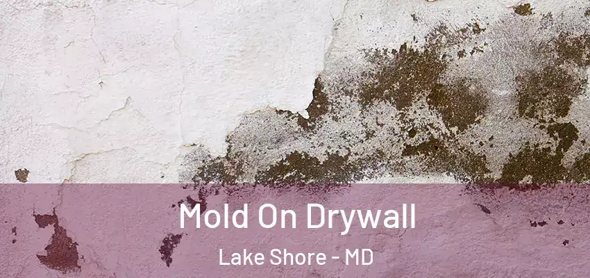 Mold On Drywall Lake Shore - MD