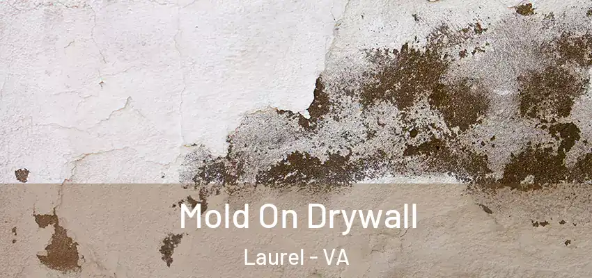 Mold On Drywall Laurel - VA