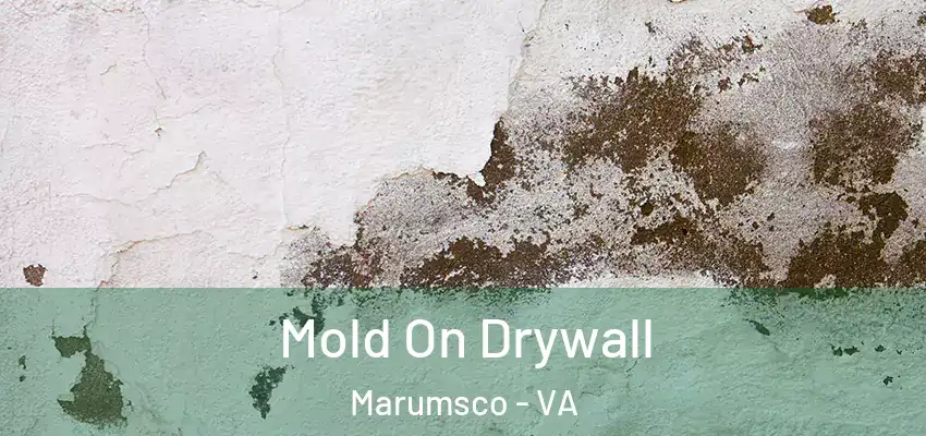 Mold On Drywall Marumsco - VA