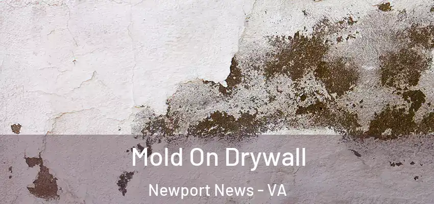  Mold On Drywall Newport News - VA