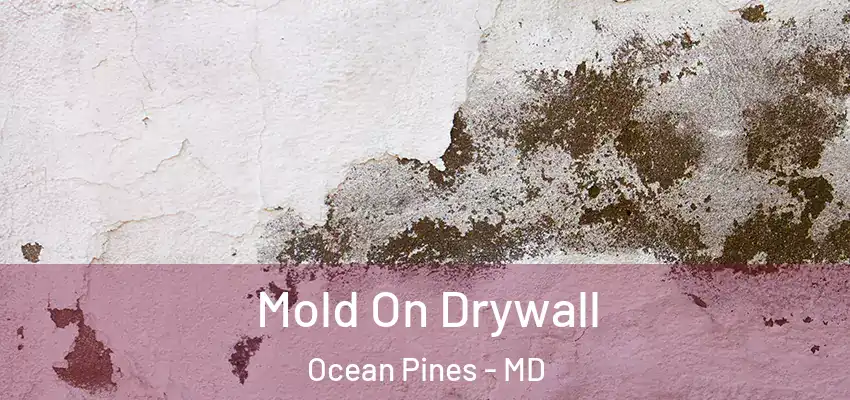  Mold On Drywall Ocean Pines - MD