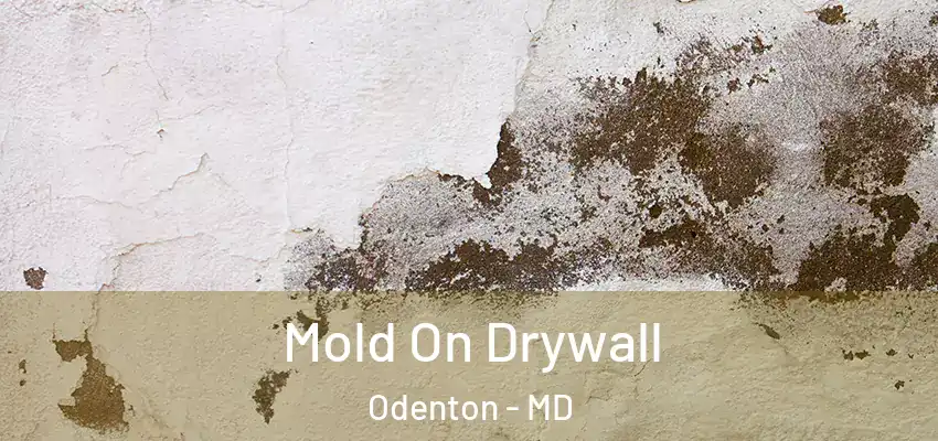 Mold On Drywall Odenton - MD