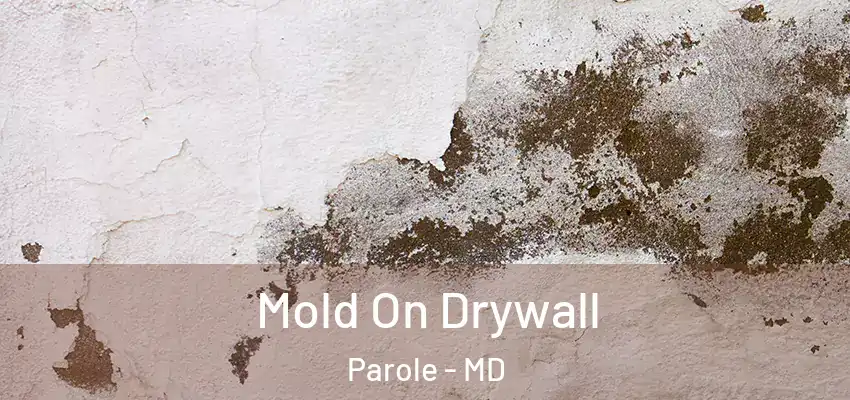 Mold On Drywall Parole - MD