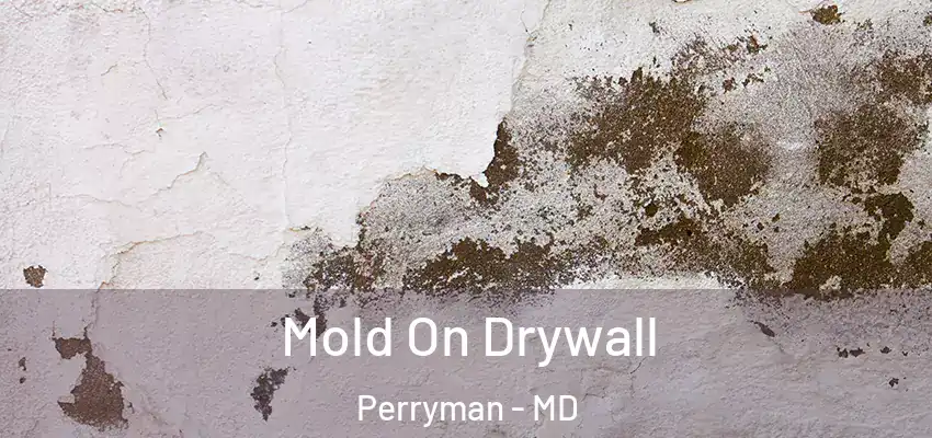Mold On Drywall Perryman - MD