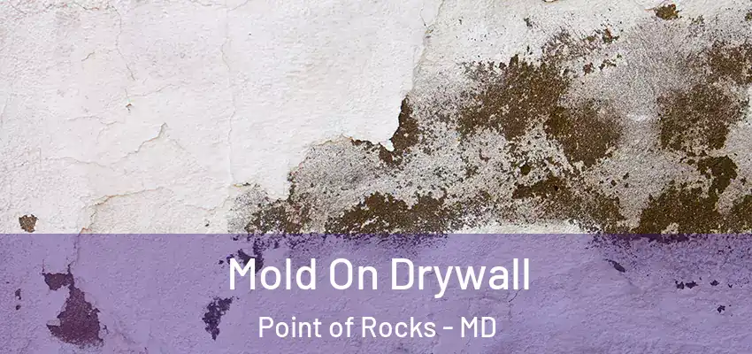  Mold On Drywall Point of Rocks - MD