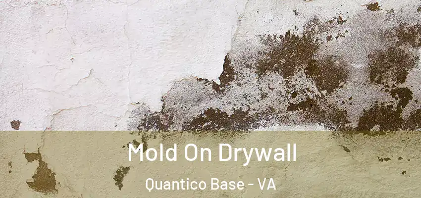 Mold On Drywall Quantico Base - VA