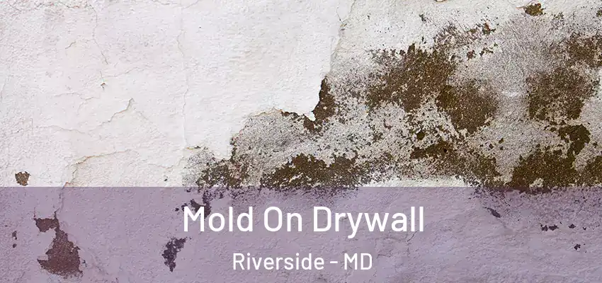 Mold On Drywall Riverside - MD