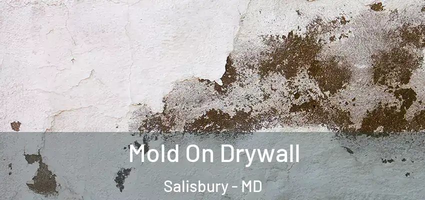 Mold On Drywall Salisbury - MD
