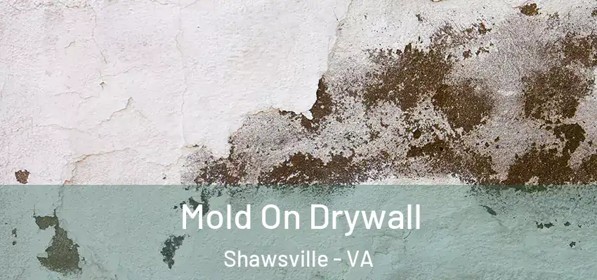 Mold On Drywall Shawsville - VA