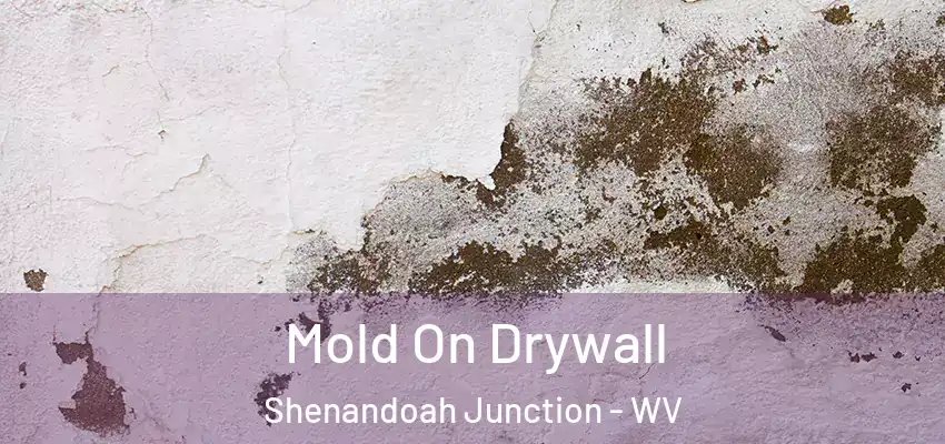 Mold On Drywall Shenandoah Junction - WV