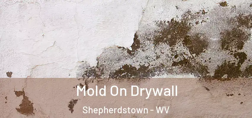 Mold On Drywall Shepherdstown - WV