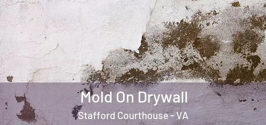 Mold On Drywall Stafford Courthouse - VA