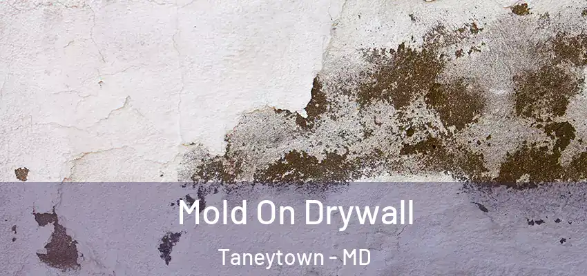  Mold On Drywall Taneytown - MD