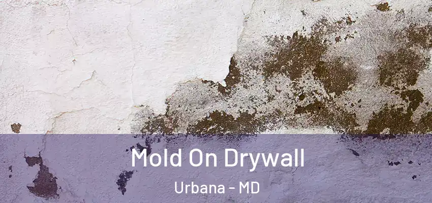 Mold On Drywall Urbana - MD