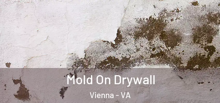 Mold On Drywall Vienna - VA