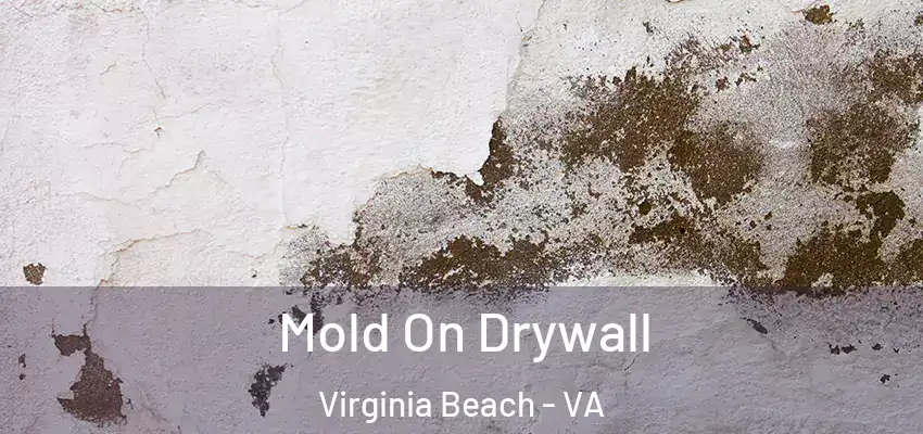  Mold On Drywall Virginia Beach - VA