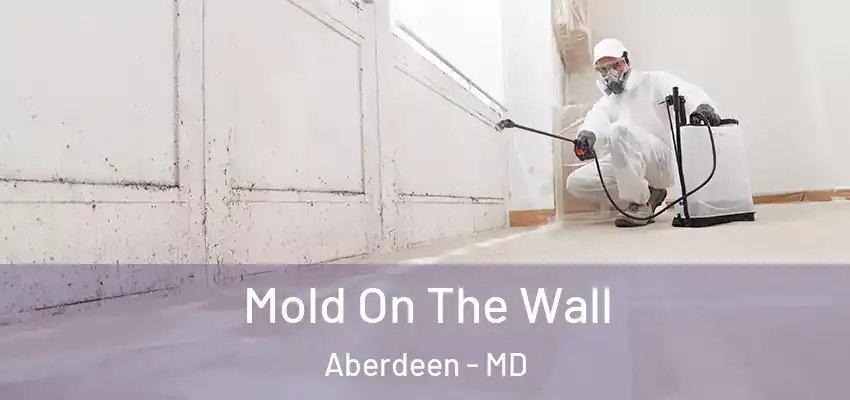 Mold On The Wall Aberdeen - MD