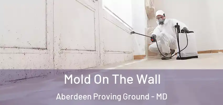 Mold On The Wall Aberdeen Proving Ground - MD