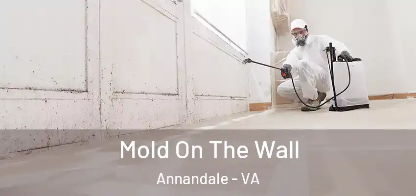 Mold On The Wall Annandale - VA