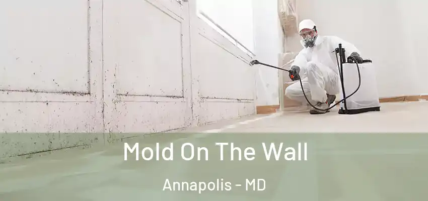 Mold On The Wall Annapolis - MD