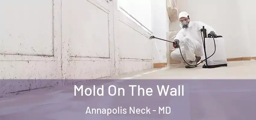 Mold On The Wall Annapolis Neck - MD