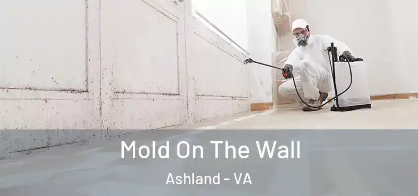 Mold On The Wall Ashland - VA