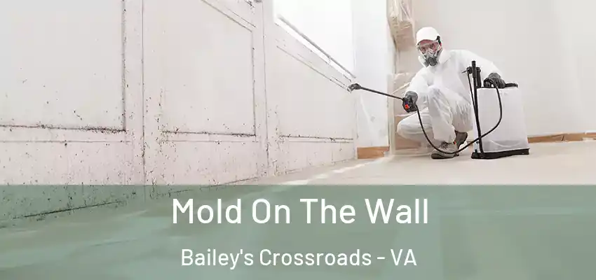 Mold On The Wall Bailey's Crossroads - VA