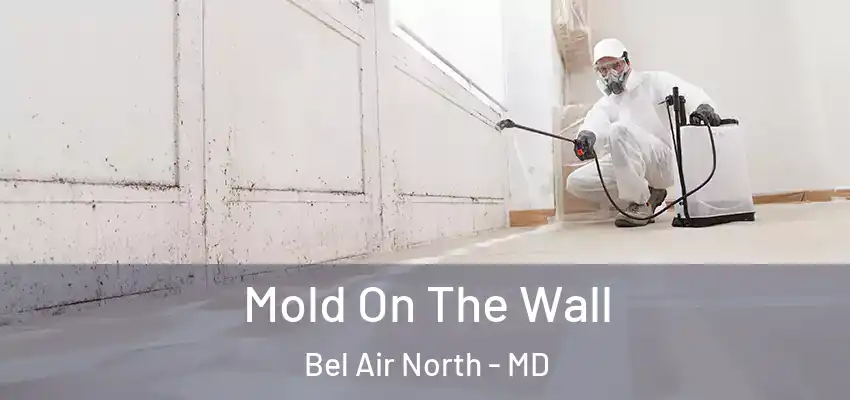 Mold On The Wall Bel Air North - MD