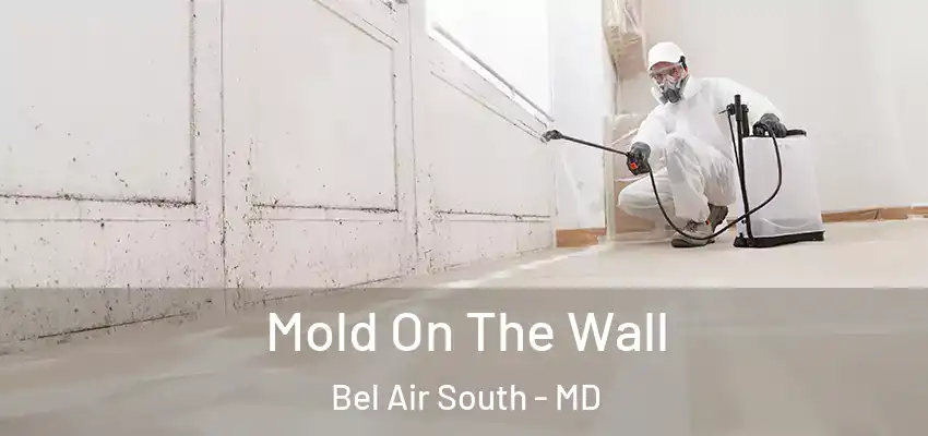 Mold On The Wall Bel Air South - MD