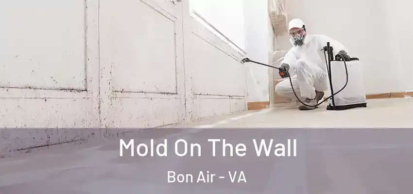 Mold On The Wall Bon Air - VA