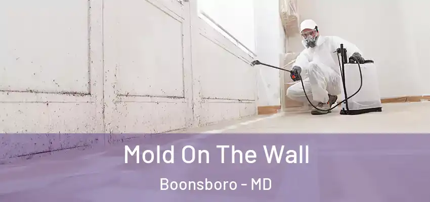 Mold On The Wall Boonsboro - MD