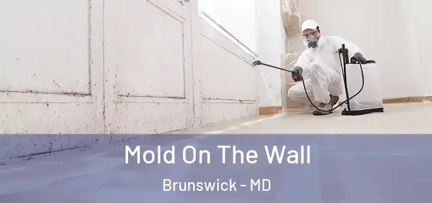 Mold On The Wall Brunswick - MD