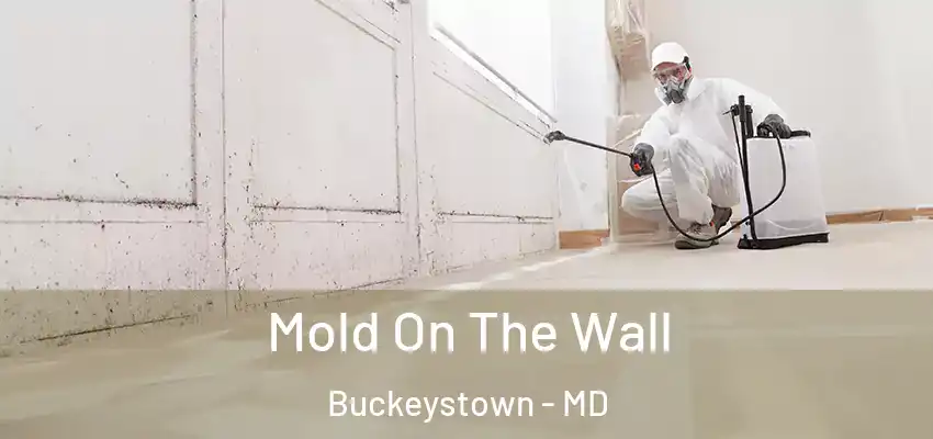 Mold On The Wall Buckeystown - MD