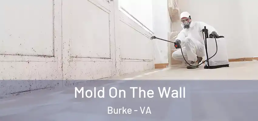 Mold On The Wall Burke - VA
