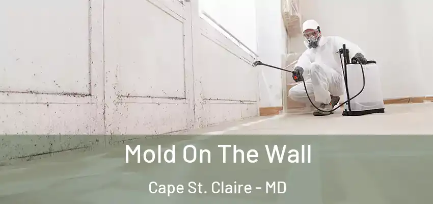 Mold On The Wall Cape St. Claire - MD
