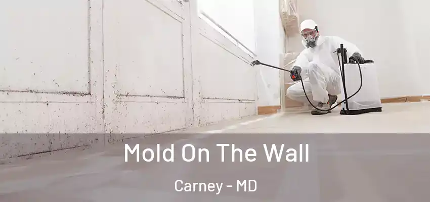 Mold On The Wall Carney - MD