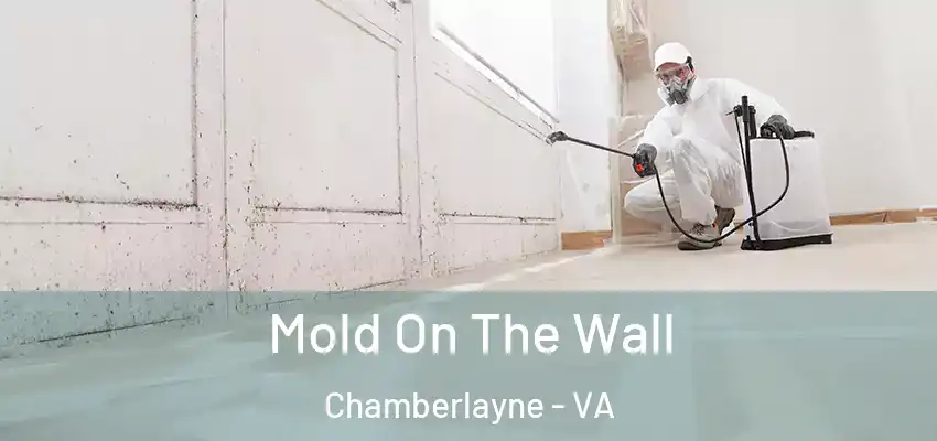 Mold On The Wall Chamberlayne - VA