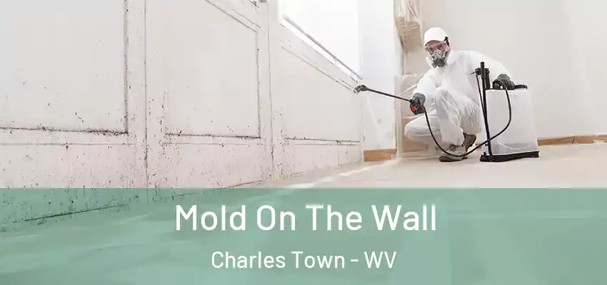  Mold On The Wall Charles Town - WV