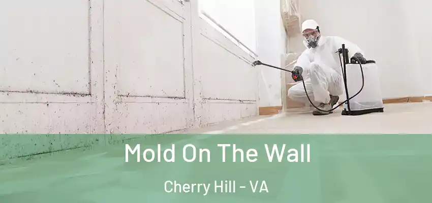 Mold On The Wall Cherry Hill - VA