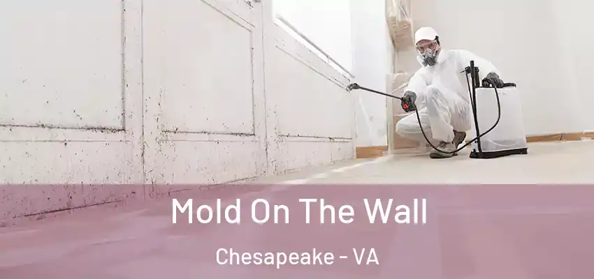 Mold On The Wall Chesapeake - VA