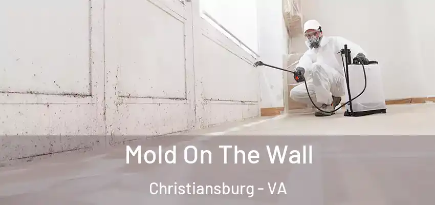 Mold On The Wall Christiansburg - VA
