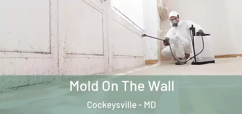 Mold On The Wall Cockeysville - MD