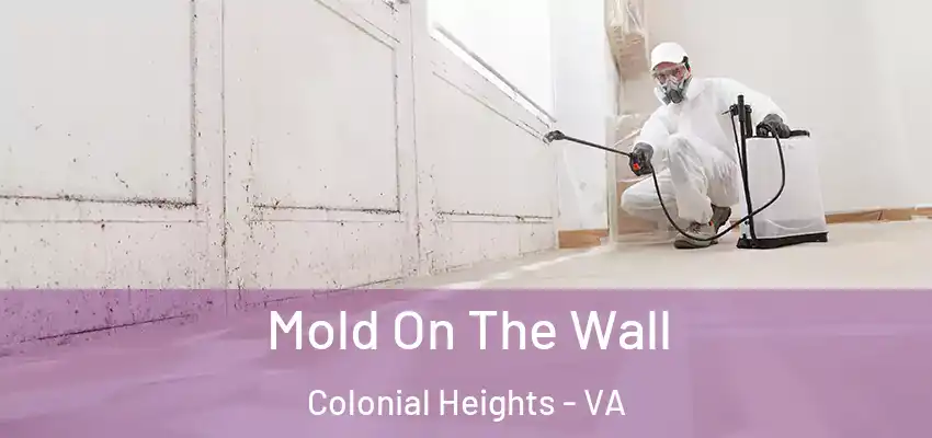 Mold On The Wall Colonial Heights - VA